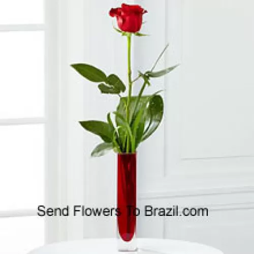 A Single Red Rose In A Red Test Tube Vase (We Reserve The Right To Substitute The Vase In Case Of Non-Availability. Limited Stock)